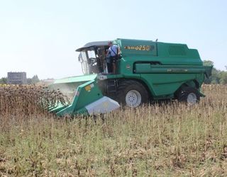 Українські аграрії вже намолотили 5 млн тонн соняшнику